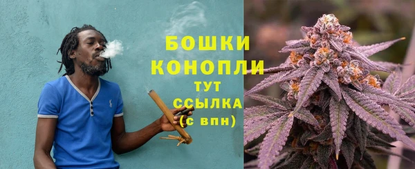 твердый Покачи