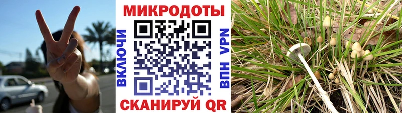 Галлюциногенные грибы ЛСД  Скопин 